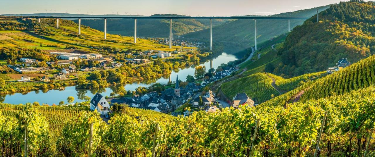 Ferienhaus Am Moselsteig Ürzig Esterno foto